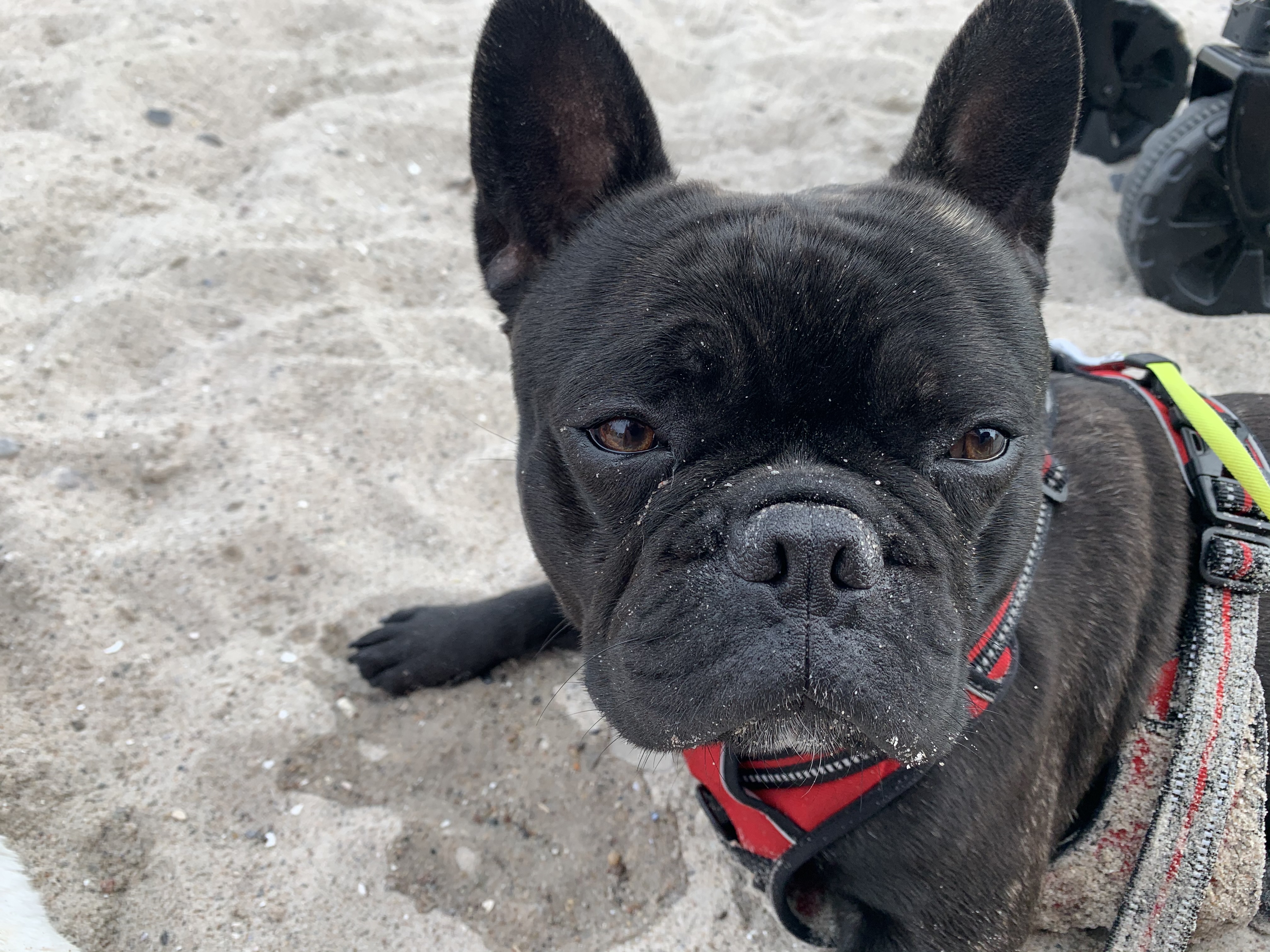 Campingurlaub